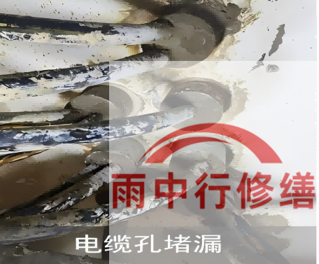 东丽电缆线空洞堵漏加固案例