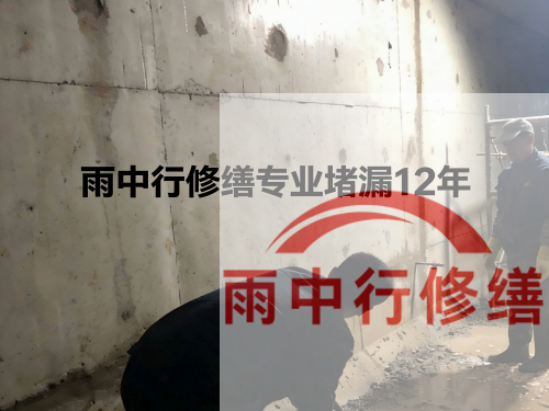 东丽化工池防腐防水修缮