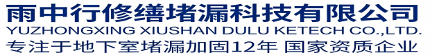 东丽雨中行科技防水堵漏工程有限公司
